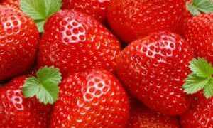 Клубника и земляника разрешенная ягода для диабетиков