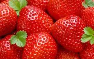 Клубника и земляника разрешенная ягода для диабетиков