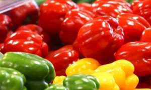 Какие блюда можно приготовить из болгарского перца при панкреатите?