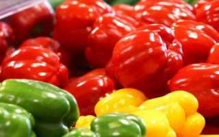 Какие блюда можно приготовить из болгарского перца при панкреатите?