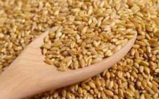 Как есть полбу при сахарном диабете