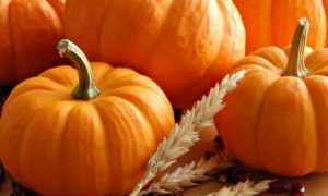 Можно ли диабетикам есть тыкву, сколько в ней сахара, польза и рецепты