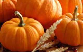 Можно ли диабетикам есть тыкву, сколько в ней сахара, польза и рецепты