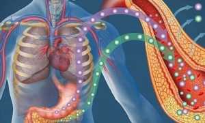 Клинические проявления и последствия гиперфункции и гипофункции поджелудочной железы