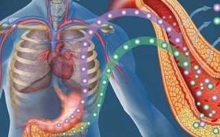 Клинические проявления и последствия гиперфункции и гипофункции поджелудочной железы
