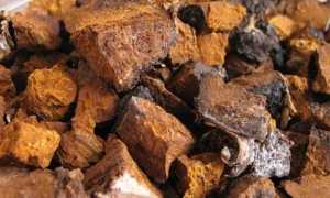 Чага березовая для поджелудочной железы