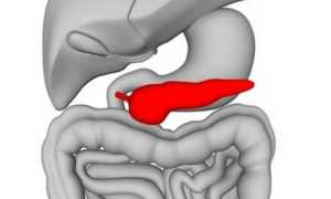 Анатомия и патологии хвоста поджелудочной железы
