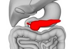 Анатомия и патологии хвоста поджелудочной железы