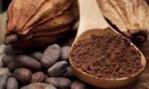 Как пить какао при сахарном диабете