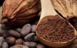 Как пить какао при сахарном диабете