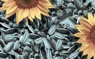Семечки при развитии сахарного диабета 2 типа