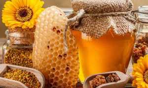 Методы лечения панкреатита прополисом, пергой и другими продуктами пчеловодства