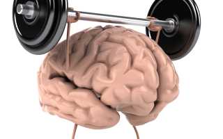 Строение и развитие человеческого мозга, и чем отличается мужской мозг от женского?