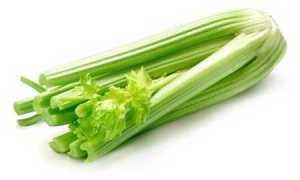 Можно ли есть корень сельдерея при сахарном диабете и как его приготовить