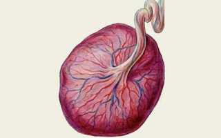 Что показывает плацентарный лактоген при беременности и какая его норма в анализе?