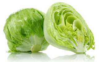 Полезные свойства салата айсберг и его воздействие на организм