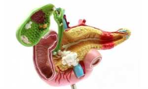 Как связан желчный пузырь с поджелудочной железой?