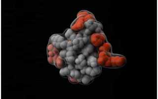 Высокий и низкий инсулин в крови: причины, симптомы, диагностика, последствия