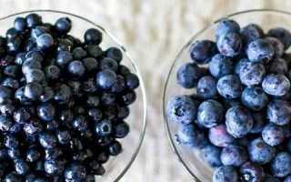 Чем полезны черника и голубика при панкреатите?