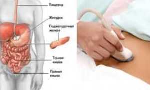 Как подготовиться к УЗИ поджелудочной железы