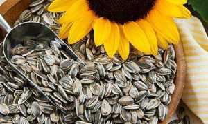 Можно ли есть семечки при сахарном диабете разных типов