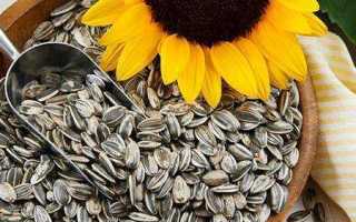 Можно ли есть семечки при сахарном диабете разных типов