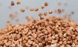 Как есть гречку при диабете разрешенные рецепты