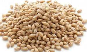 Можно ли есть перловку при панкреатите?