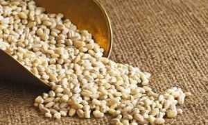 Перловая каша при диабете: можно ли есть и какая от нее польза