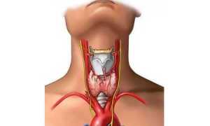Что такое первичный гипотиреоз щитовидной железы и как лечить заболевание?