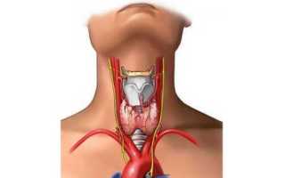 Что такое первичный гипотиреоз щитовидной железы и как лечить заболевание?