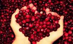 Как есть клюкву при сахарном диабете