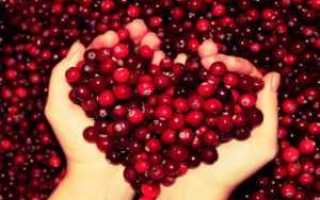 Как есть клюкву при сахарном диабете
