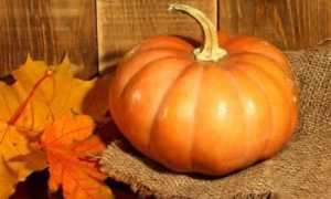 Можно ли диабетикам есть тыкву: польза и вред