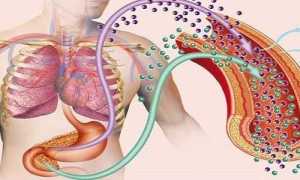 Чем лечить поджелудочную железу когда у вас сахарный диабет?