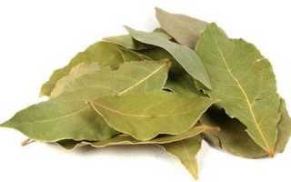 Лечение лавровым листом сахарного диабета: как пить, польза и вред (с отзывами)