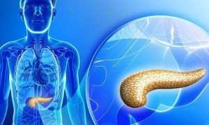 Нормальный размер поджелудочной железы по УЗИ у взрослого, патологии при отклонении показателей