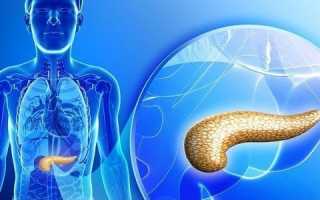 Нормальный размер поджелудочной железы по УЗИ у взрослого, патологии при отклонении показателей