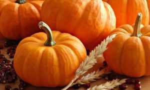 Можно ли есть тыкву диабетикам и какие могут быть противопоказания