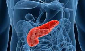 Как успокоить раздраженную поджелудочную железу в домашних условиях?