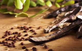 Что такое кэроб – польза и вред заменителя шоколада