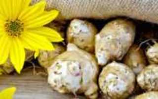 Сироп топинамбура при диабете правила приготовления и употребления