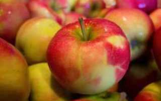 Есть ли в яблоках сахар содержание в граммах по сортам