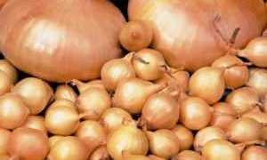 Лук против сахарного диабета