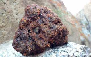 Что нужно знать о полезных свойствах и вреде мумие?