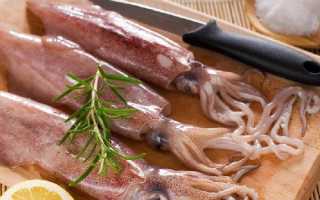 Ни рыба ни мясо: польза и вред кальмаров.