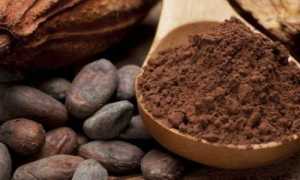 Можно ли при панкреатите употреблять какао?