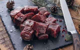 Польза и вред мяса медведя для здоровья