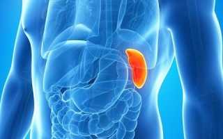 Как узнать, болит поджелудочная железа или селезенка?