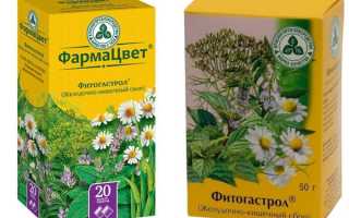 Состав желудочно-кишечного сбора Фитогастрол, вред и польза продукта